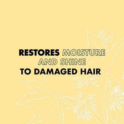 SheaMoisture Jamaican Black Castor Oil Strengthen & Restore Leave-In Conditioner for Chemically Processed, Heat Styled or Natural Hair 431ml
